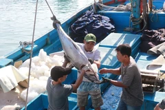 Khanh Hoa steps up efforts to lift “yellow card” on illegal fishing