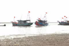 Ninh Binh strengthens aquatic resource protection