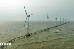 A wind power plant in Duyen Hai township, Vinh Long province (formerly part of Tra Vinh). (Photo: VNA)
