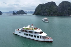 An overnight cruise ship developed by Everland Group for Bai Tu Long Bay. (Photo: VNA)