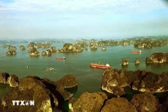 A view of Bai Tu Long Bay (Photo: VNA)