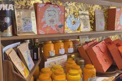 Vietnamese culture showcased in Paris