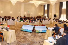 Vietnamese, Chinese localities seek ways to step up multifaceted cooperation