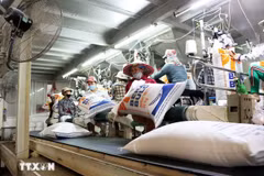 Rice packaging line for export in An Giang province. (Photo: VNA)
