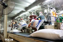 Rice packaging line for export in An Giang province. (Photo: VNA)