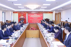 At the working session (Photo: VNA)