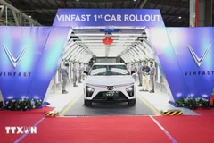 Electric vehicles produced at VinFast’s plant in India. (Photo: VNA)