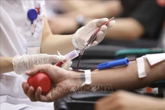 People donate blood at the National Institute of Haematology and Blood Transfusion in response to the “Grateful Drops” campaign. (File photo: VNA)