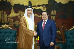 PM promotes stronger energy cooperation with UAE, Qatar