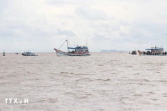 Dong Thap steps up efforts to lift IUU fishing