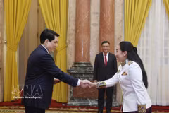 Vietnam eyes stronger ties with Cambodia, Saudi Arabia, Dominica