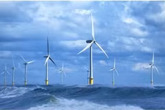 Businesses step up energy saving and transition efforts