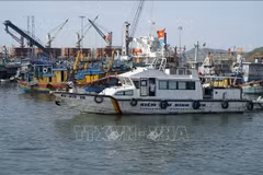 Competent forces patrol and inspect at Quy Nhon fishing port. (Photo: VNA)