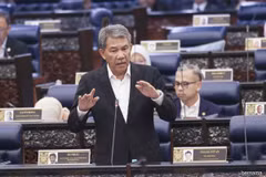 Foreign Minister Datuk Seri Mohamad Hasan (Photo: Bernama)