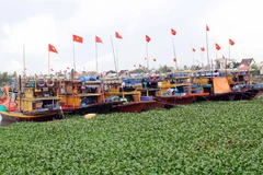 Da Nang restructures fishing fleet to protect coastal fisheries