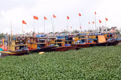 Da Nang restructures fishing fleet to protect coastal fisheries