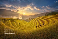 Ethnic cultural identity promoted amid integration 