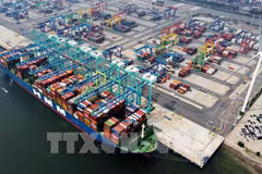 Bustling cargo scene at Tianjin Port, China (Photo: VNA)