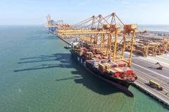 Vietnam’s agro-forestry-fishery exports surge nearly 13% in 10 months