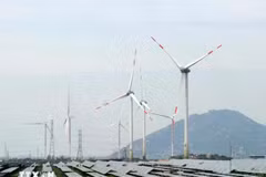A wind power plant in Ninh Thuan province. (Source: VNA)