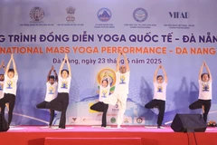 A large-scale yoga performance (Photo: VNA)