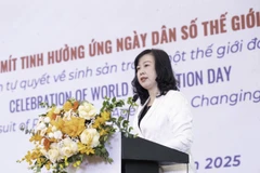 Minister of Health Dao Hong Lan speaks at the meeting. (Photo: VNA)