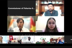 Participants in the online seminar (Screenshot photo: VNA)