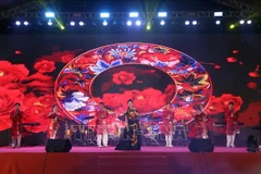 An art performance at the festival (Photo: VNA)