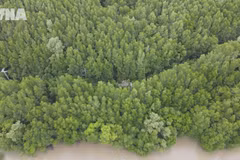 Green transition - inevitable pathway toward sustainable development