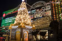 Hanoi’s Christmas trees light up festive season