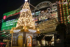 Hanoi’s Christmas trees light up festive season