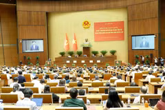 New administrative system must deliver new governance capacity: Top leader