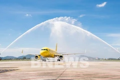 Vietravel Airlines officially welcomes its second owned aircraft, an Airbus A320, on August 4. (Photo: VNA)