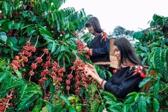Agro-forestry-fishery exports up 6% in H1