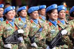 Vietnam's stature elevated on global stage 