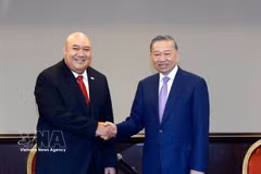 Top Vietnamese leader meets Philippines-based organisations, businesses