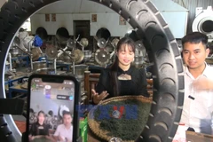 Digital transformation boosts collective economy development