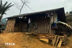 A substandard house in Bac Kan (Photo: VNA)