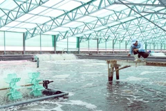 Ho Chi Minh City promotes sustainable aquaculture development 