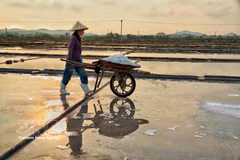 Salt makers endure harsh sun to preserve traditional craft 