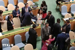 UN Human Rights Council 2026–2028: Vietnam commits to addressing shared human rights concerns 