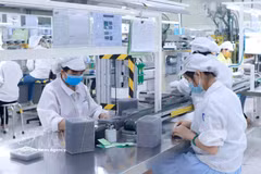 FDI disbursement in Jan–Feb reaches five-year high