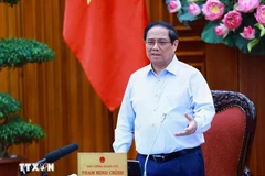 Prime Minister Pham Minh Chinh (Photo: VNA)