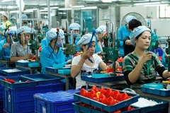 Workers at an electronics factory in the southern province of Dong Nai. (Photo: VNA/VNS)