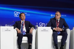 Deputy Prime Minister Bui Thanh Son at the forum (Photo: VNA)