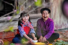 Vietnam is entering an ageing population stage. (Photo: VNA)