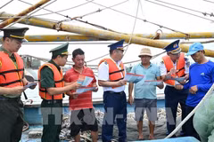 Ho Chi Minh City tightens fleet management, ready to welcome EC inspectors