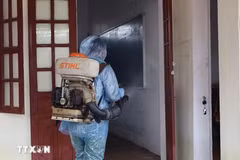 Vietnam emerges as “One Health” frontrunner in disease control