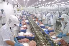 Workers process fish for export. (Photo: VNA) 