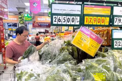 Ho Chi Minh City embraces green consumption trend